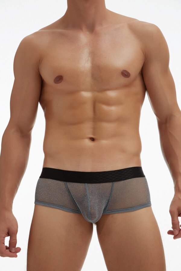 E-076A | Bóxer de malla para hombres - Ropa interior atrevida - Imagen 6