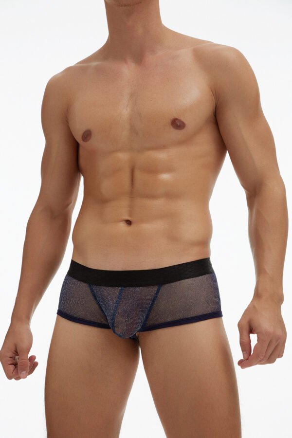 E-076A | Bóxer de malla para hombres - Ropa interior atrevida - Imagen 4