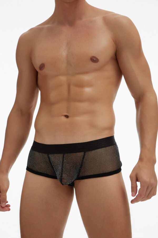 E-076A | Bóxer de malla para hombres - Ropa interior atrevida